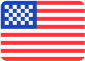 USA Flag Icon